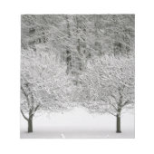 Bloc-note Paysage couvert de neige (Devant)
