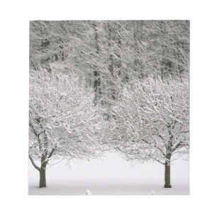 Bloc-note Paysage couvert de neige
