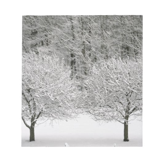 Bloc-note Paysage couvert de neige (Devant)