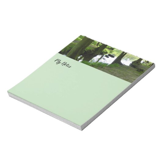 Bloc-note paysage forestier photo (Tourné)