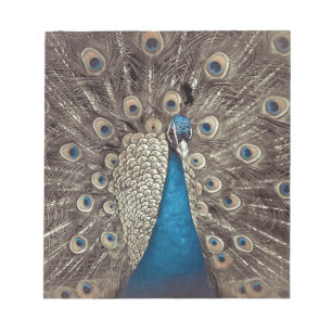 Bloc-note Peacock bleu antique