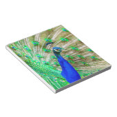Bloc-note Peacock Plumage (Incliné)