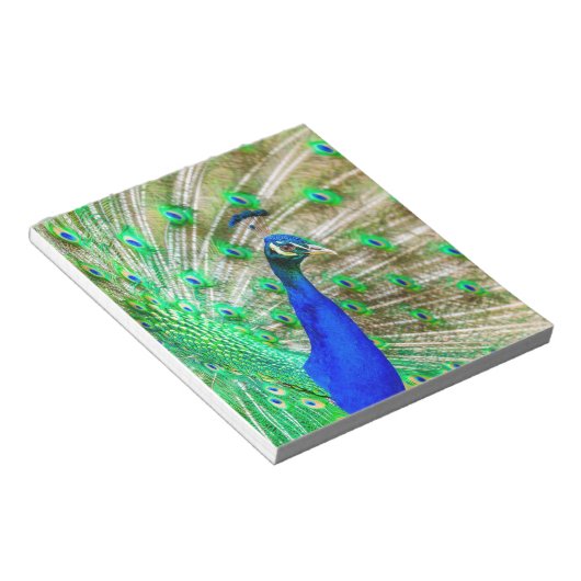 Bloc-note Peacock Plumage (Incliné)