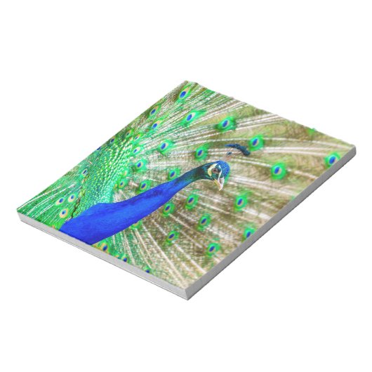 Bloc-note Peacock Plumage (Tourné)