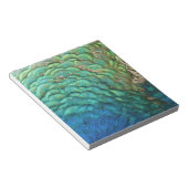 Bloc-note Peacock Plumes I Colorful Abstrait Nature Design (Incliné)