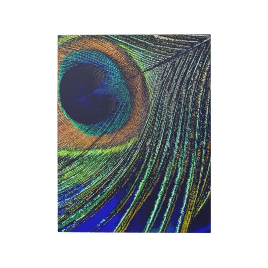 Bloc-note Peacocok Feather (Tourné)