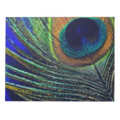 Bloc-note Peacocok Feather (Devant)