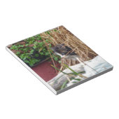 Bloc-note Peek-a-Boo (Incliné)