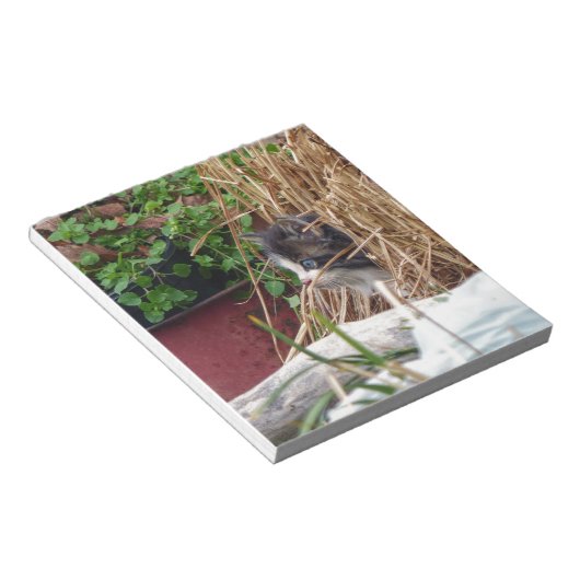 Bloc-note Peek-a-Boo (Incliné)