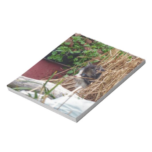 Bloc-note Peek-a-Boo (Tourné)