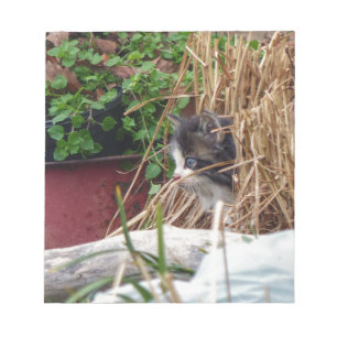 Bloc-note Peek-a-Boo