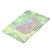 Bloc-note Peinture à papillon (Incliné)