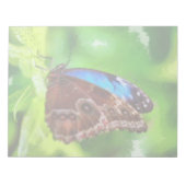 Bloc-note Peinture à papillon (Devant)