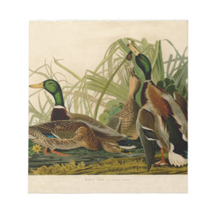 Bloc-note Peinture d'oiseaux de Mallard Duck Audubon