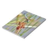 Bloc-note Pelouse de berge et libellule (Tourné)