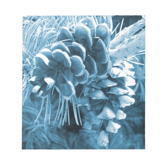 Bloc-note Pénecone bleu glacé primitif (Devant)