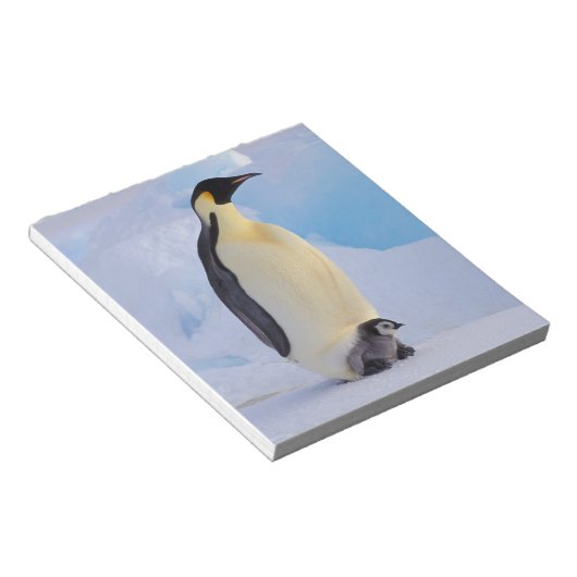 Bloc-note Penguin | Apténodytes (Incliné)