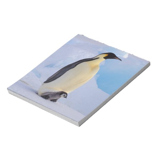 Bloc-note Penguin | Apténodytes (Tourné)