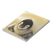 Bloc-note Penguin baby (Tourné)