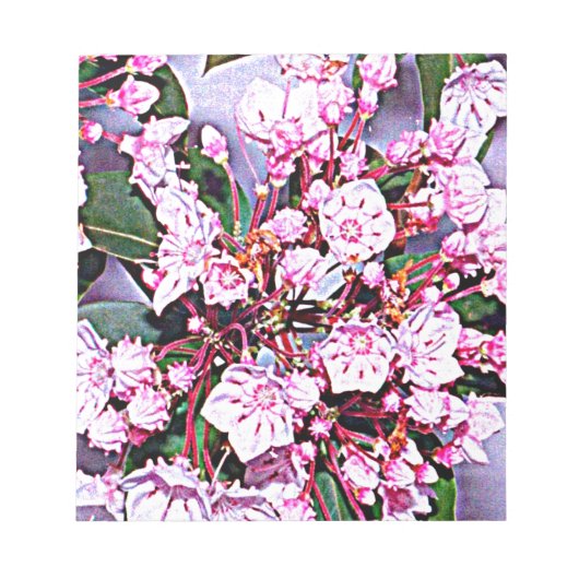 Bloc-note Pennsylvanie Mountain Laurel (Devant)