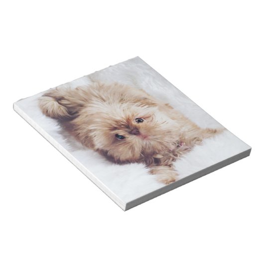 Bloc-note Penny orange foie Chih Tzu puppy papier papier (Incliné)