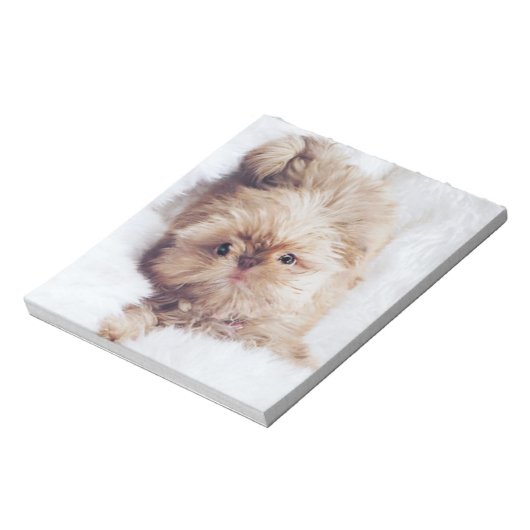 Bloc-note Penny orange foie Chih Tzu puppy papier papier (Tourné)