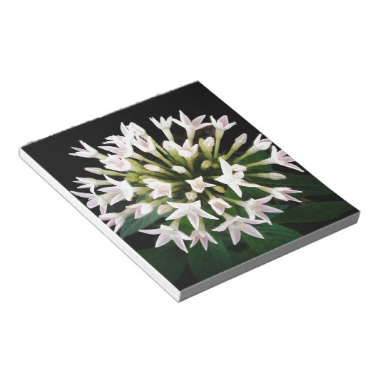 Bloc-note Pentas blancs (Incliné)