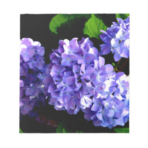 Bloc-note Périwinkel hydrangeas fleurs violettes fleurs bleu