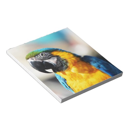 Bloc-note perroquet (Incliné)