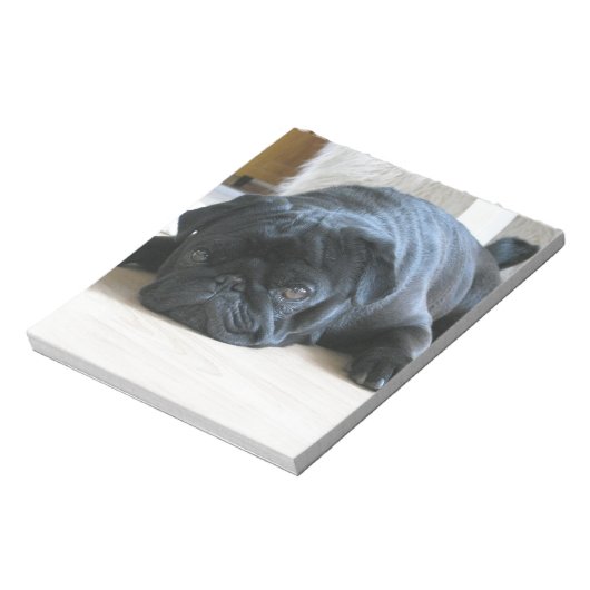 Bloc-note Personnaliser le Carlin noir mignon Nom d'accessoi (Tourné)