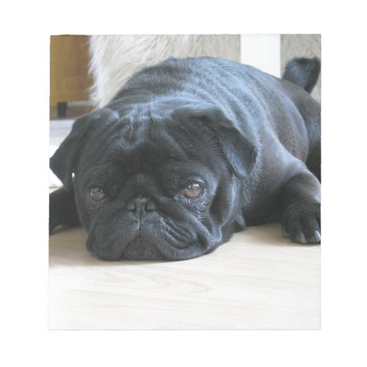 Bloc-note Personnaliser le Carlin noir mignon Nom d'accessoi (Devant)