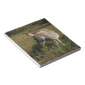 Bloc-note Petit âne gris avec fleur sauvage (Incliné)