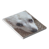 Bloc-note Petit Chien de caniche blanc (Incliné)