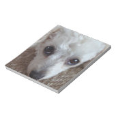 Bloc-note Petit Chien de caniche blanc (Tourné)
