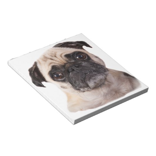 Bloc-note petit chien mignon carlin (Incliné)