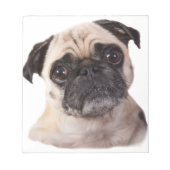 Bloc-note petit chien mignon carlin (Devant)