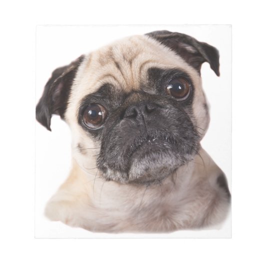 Bloc-note petit chien mignon carlin (Devant)