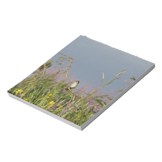 Bloc-note Petit colibri gras (Tourné)