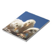 Bloc-note petite chope de poulet heureuse (Tourné)