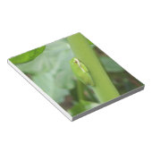 Bloc-note petite grenouille verte endormie (Incliné)