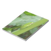Bloc-note petite grenouille verte endormie (Tourné)