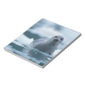 Bloc-note phoque du port pacifique, Phoca vitulina richardsi (Tourné)