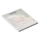 Bloc-note Photo de Cute Little Orange Fox (Incliné)