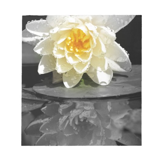 Bloc-note Photo White Water Lily (Devant)