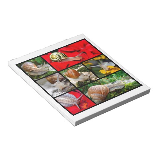 Bloc-note Photos multiples d'escargots (Incliné)