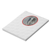 Bloc-note Pic Downy en neige - Photo originale (Tourné)