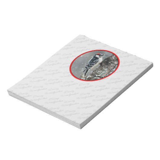 Bloc-note Pic Downy en neige - Photo originale (Tourné)