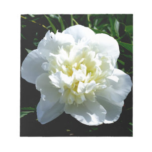 Bloc-note Pies blanches