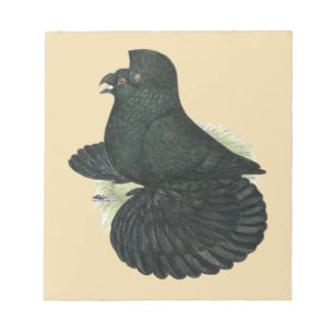 Bloc-note Pigeon Trompette Noir