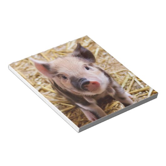 Bloc-note Piglet mignon (Incliné)